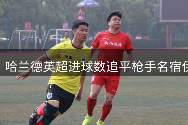 哈兰德英超进球数追平枪手名宿伊恩·赖特